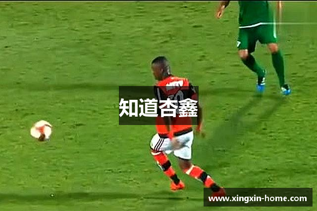 知道杏鑫